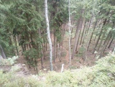 Nabízím k prodeji lesní pozemek o výměře 890 m2 v k.ú. Držov