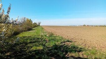 Prodej orná půda o výměře 1979 m2 v k.ú. Brno-Slatina. tel.: