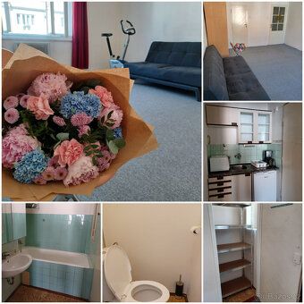 🌿 Nájem byt 1+kk (cca 30 m²) u metra C Pankrác v klidné ulic
