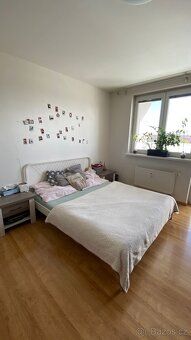Přímý majitel pronajme pěkný, slunný byt 2+1, 60m2 s lodžií 