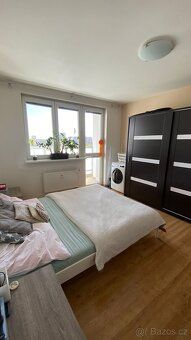 Přímý majitel pronajme pěkný, slunný byt 2+1, 60m2 s lodžií 