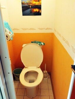 prodám 2 chaty, jen dohromady, v Ratajích nad Sázavou, kouse