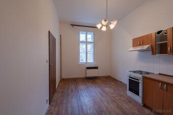 Sterling reality Vám zprostředkuje pronájem byt 1+1 (46m2) v