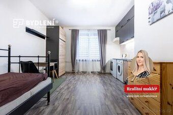 Hledám pronájem bytu minimálně 2+1 . Rozcházím se s přítelem