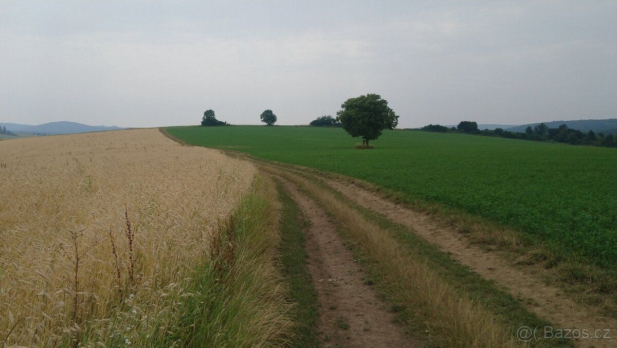 Prodám ornou půdu v k.u. Pitín, okres Uherské Hradiště o vým