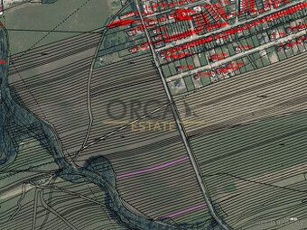 Prodám ornou půdu v k.u. Pitín, okres Uherské Hradiště o vým