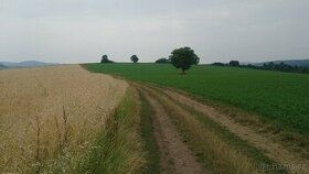 Prodám ornou půdu v k.u. Pitín, okres Uherské Hradiště o vým