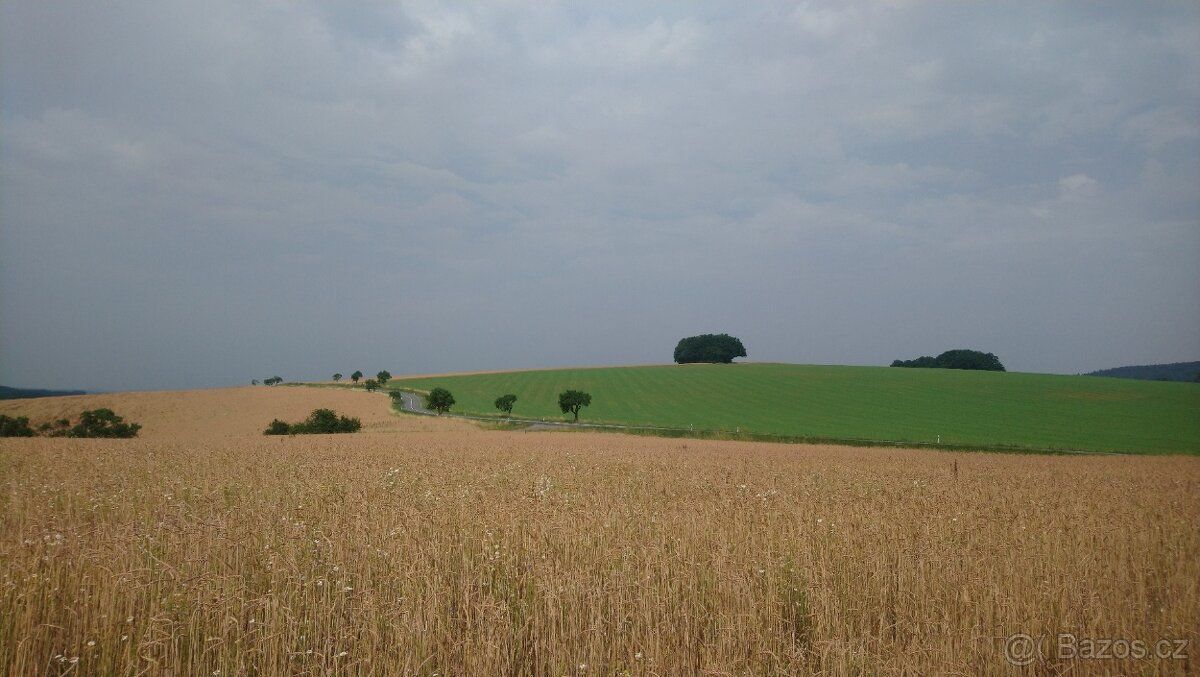 Prodám ornou půdu v k.u. Pitín, okres Uherské Hradiště o vým