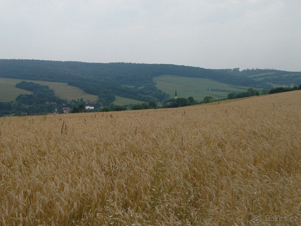 Prodám ornou půdu v k.u. Pitín, okres Uherské Hradiště o vým