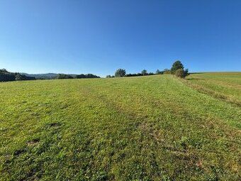 Prodej stavebního pozemku o CP 2510 m2 v obci Horní Olešnice