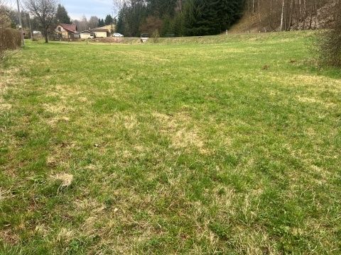 Prodej stavebního pozemku o CP 2510 m2 v obci Horní Olešnice