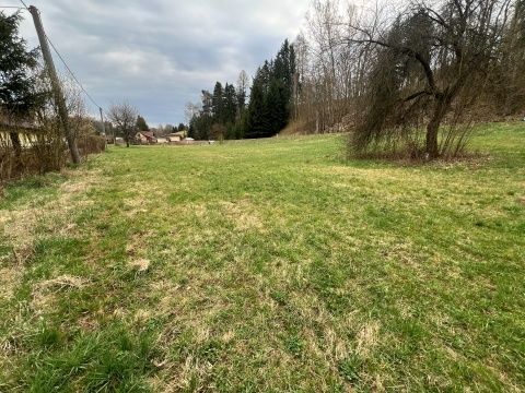 Prodej stavebního pozemku o CP 2510 m2 v obci Horní Olešnice
