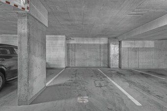 Pronajmu napřímo (neplatíte provizi realitce) útulný, světlý