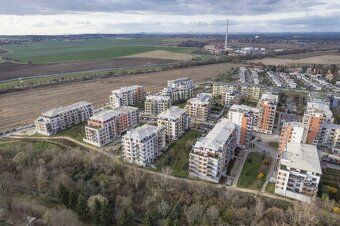 Pronajmu napřímo (neplatíte provizi realitce) útulný, světlý