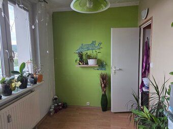 Prodám byt 3+1 ve Valašském Meziříčí, ul Havlíčkova. Byt po 