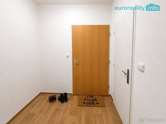 Nabízíme k pronájmu prostorný a světlý byt o dispozici 1+1 a
