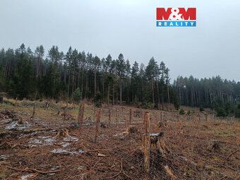 Dobrý den, prodám trvalý travní porost, pozemek 1415/1 na LV
