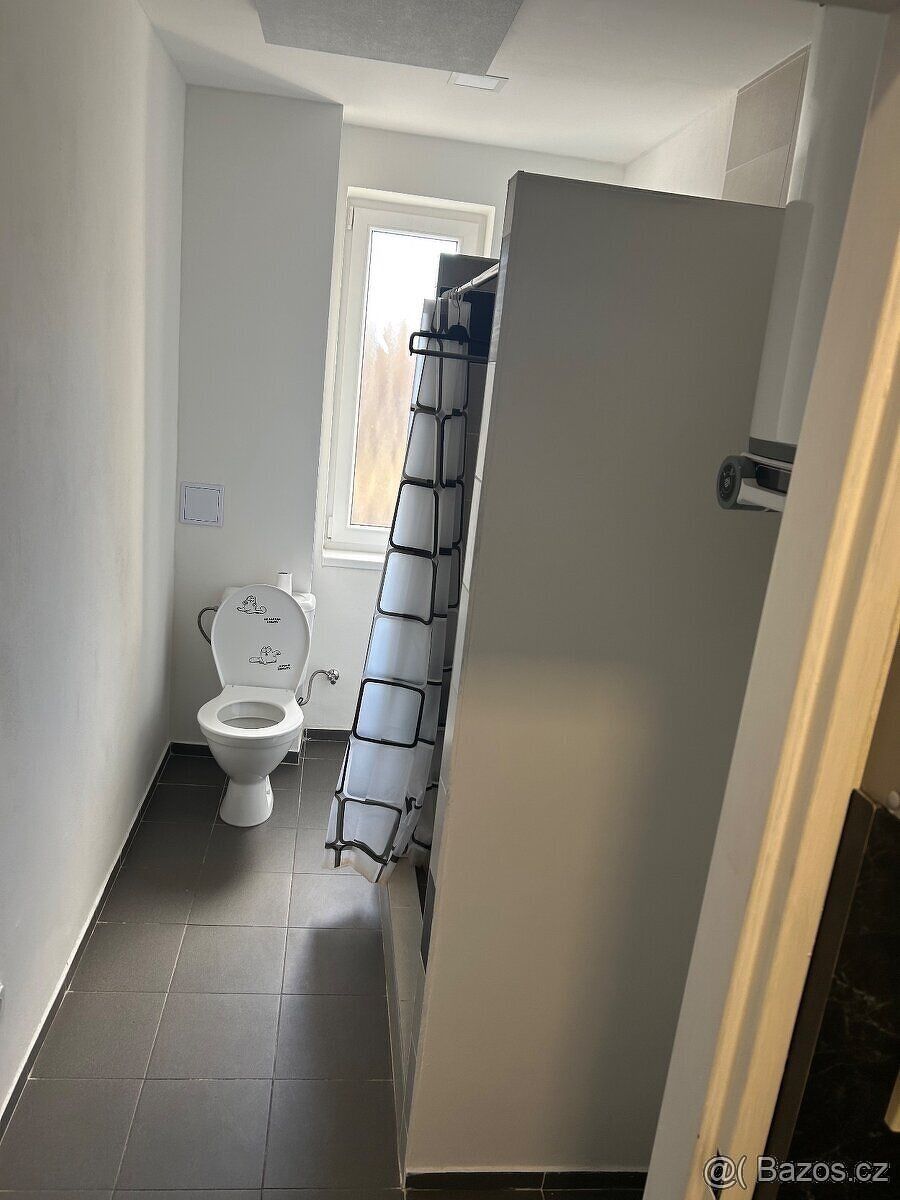 Nabízíme pronájem bytu 2+KK o velikosti cca 55 m2 v dochozí 