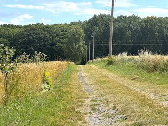Nabízíme k dlouhodobému pronájmu plně vybavený rodinný dům č