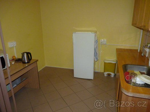 Nabízím pronájem nebytových prostor vhodných na zřízení prov