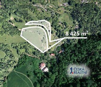 Prodej lesního pozemku o výměře 10.293 m² v katastrálním úze