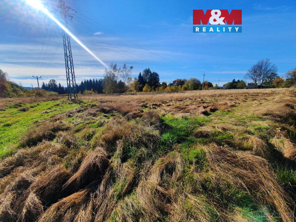 Nabízíme k prodeji prostorné louky o rozloze 10 565 m² v kli