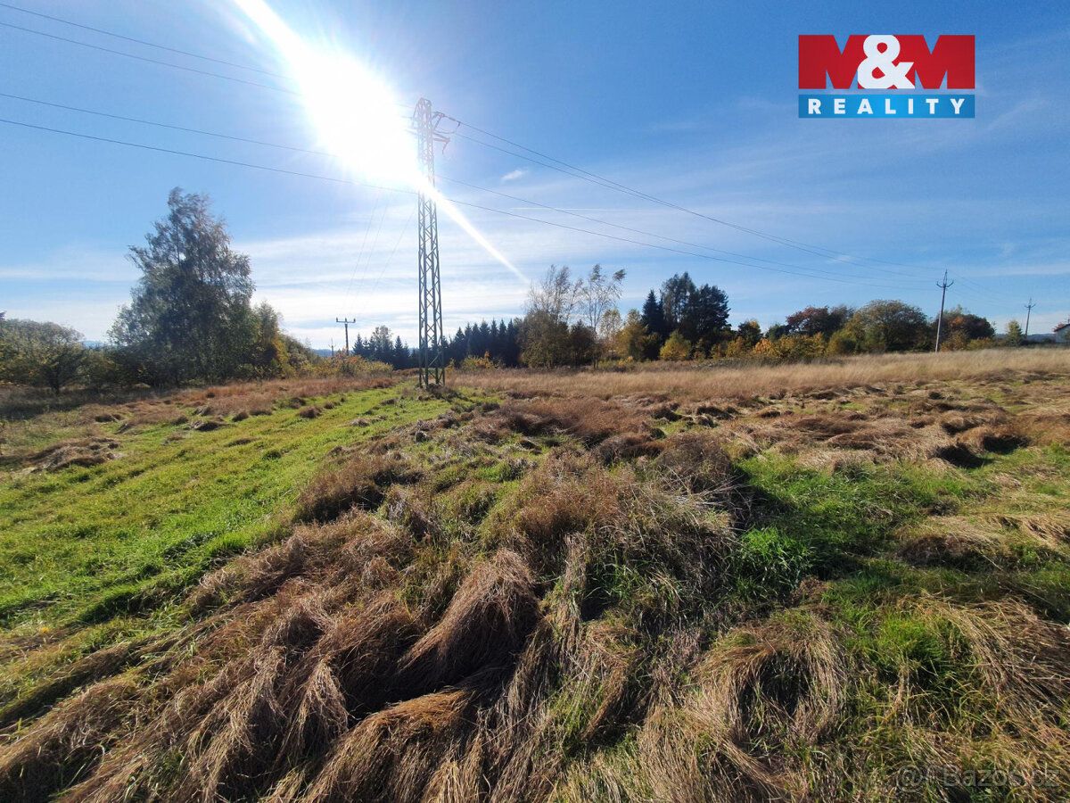 Nabízíme k prodeji prostorné louky o rozloze 10 565 m² v kli