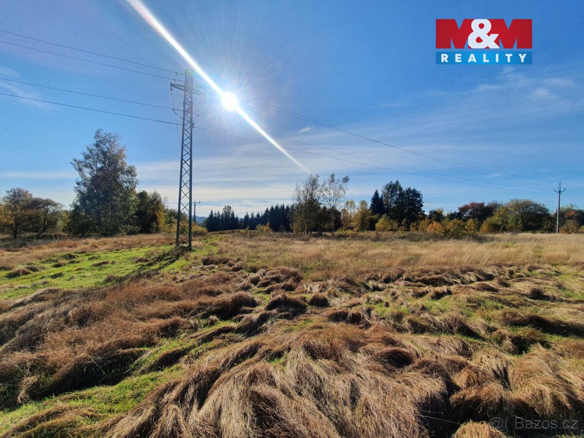 Nabízíme k prodeji prostorné louky o rozloze 10 565 m² v kli