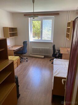 od 1.9.pronajmu dva dvoulůžkové pokoje za 10200-10600 Kč jso