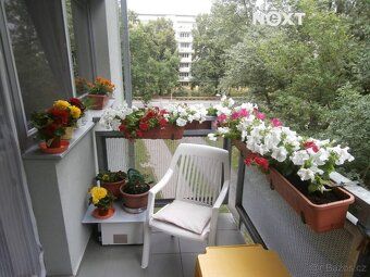 Nabízíme k pronájmu moderní a prostorný byt o dispozici 2+kk