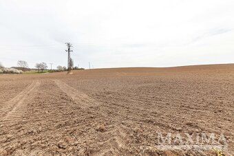 Velký pozemek s potenciálem a soukromím: 6 862 m2, Vitice u 