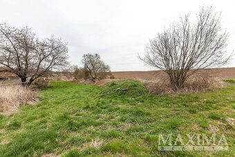 Velký pozemek s potenciálem a soukromím: 6 862 m2, Vitice u 