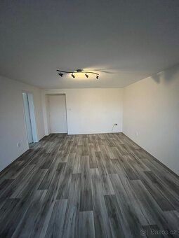 Dobrý den,
pronajmu byt po rekonstrukci o velikosti 2+1, 45m