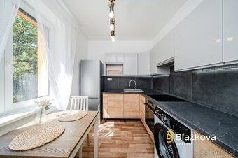 Nabízíme k prodeji byt o dispozici 1+kk na ulici Palackého v