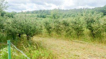 Nabízíme k prodeji výjimečný pozemek v obci Mostkovice, kata