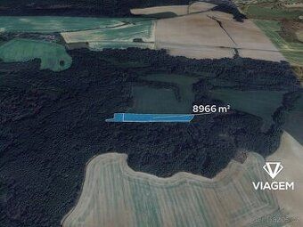 Prodám 560 m čtverečních pozemku : louka + les s protékající