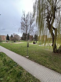 K pronájmu nabízíme světlý a prostorný byt 3+1 o výměře 75 m