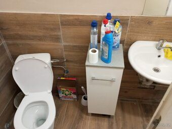Pronajmu 2+1 v Moravské Berouně S VLASTNÍ ZAHRADOU Holý náje