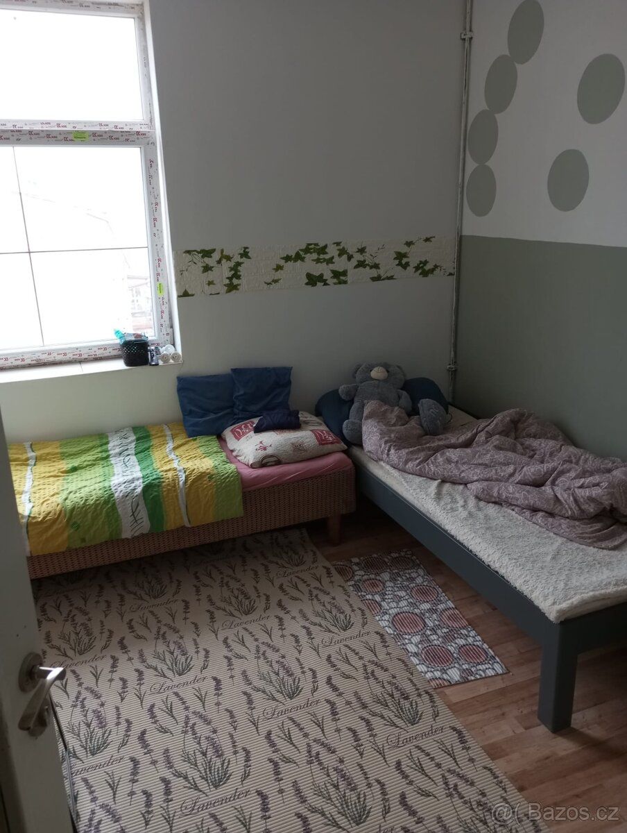 Pronajmu 2+1 v Moravské Berouně S VLASTNÍ ZAHRADOU Holý náje