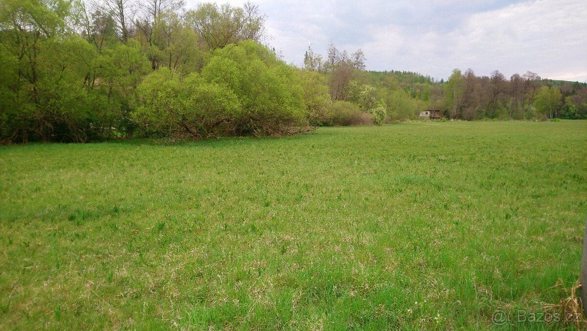Prodej louky u Brna. Pozemek s parcelním číslem 271/35 v k.ú
