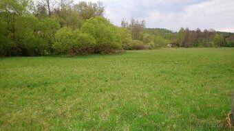 Prodej louky u Brna. Pozemek s parcelním číslem 271/35 v k.ú