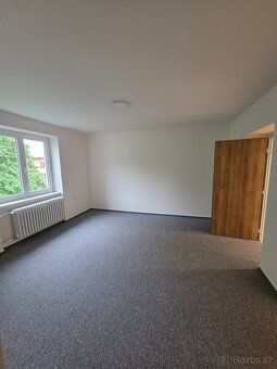 Pronájem bytu 2+1 po kompletní rekonstrukci, 58 m², balkon, 