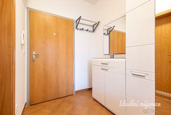 K dlouhodobému podnájmu nabízíme světlý a útulný byt 1+kk v 