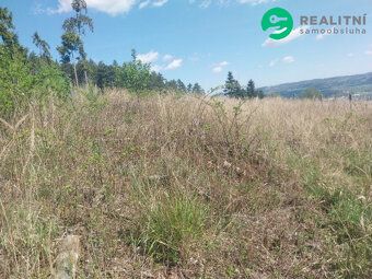 Nabízíme lesní parcelu v k. ú. Spešov o velikosti 2318m2. + 