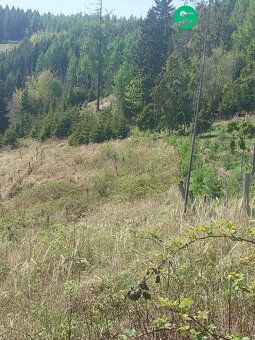 Nabízíme lesní parcelu v k. ú. Spešov o velikosti 2318m2. + 