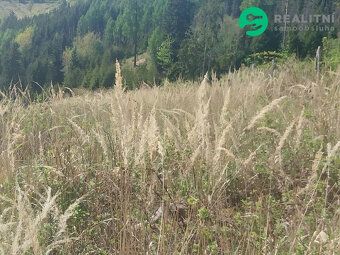 Nabízíme lesní parcelu v k. ú. Spešov o velikosti 2318m2. + 
