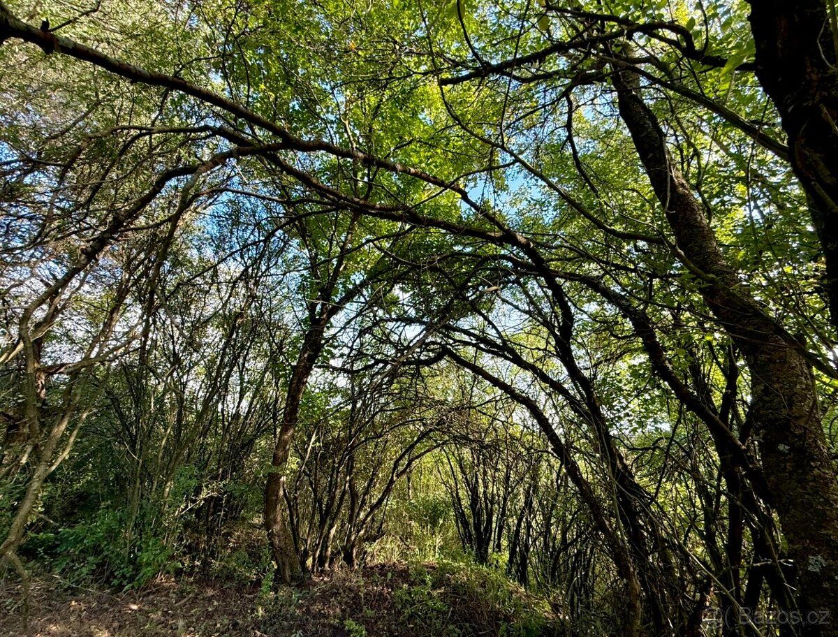 CENU NAVRHNĚTE Nabízíme k prodeji zahradu o výměře 589 m² v 