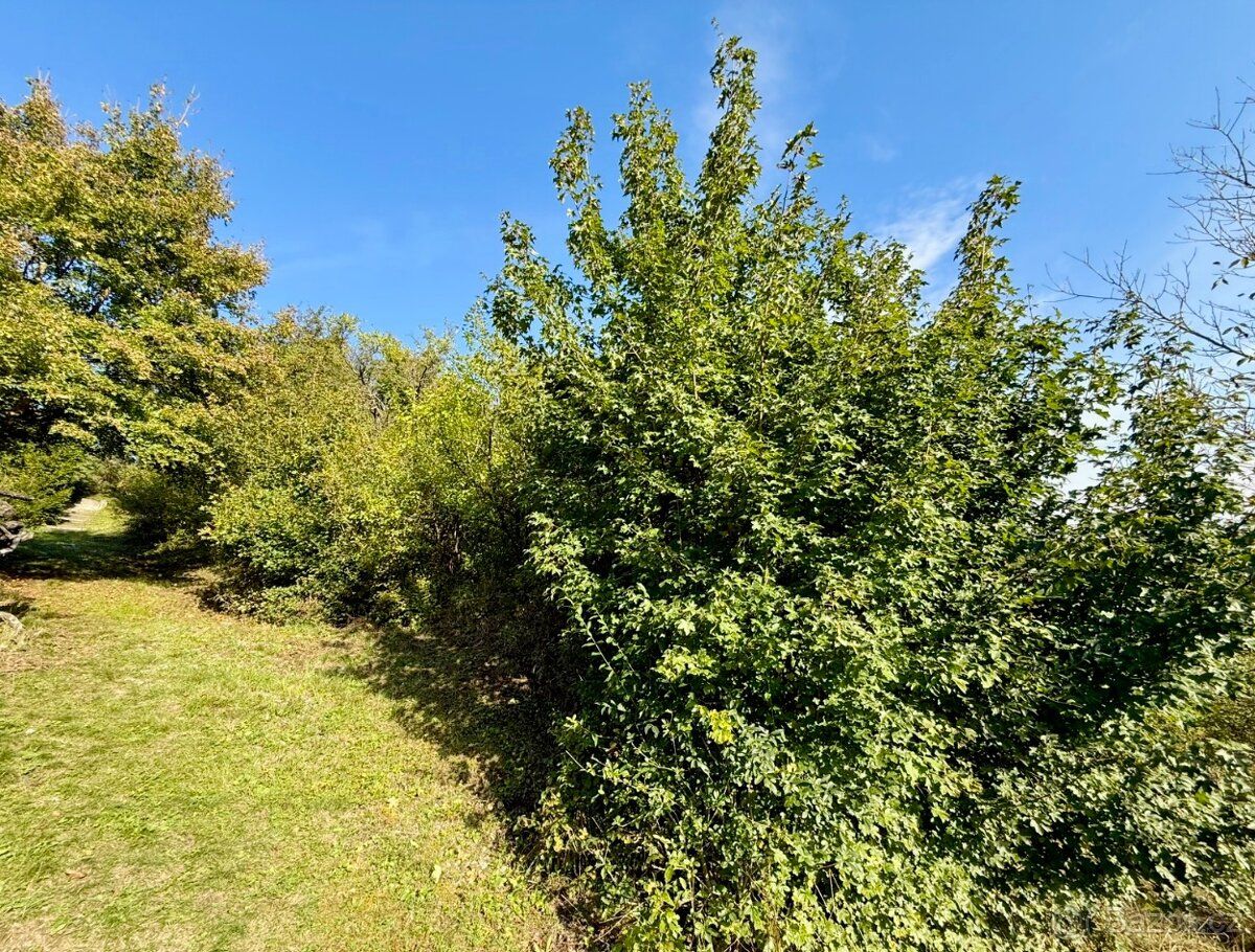 CENU NAVRHNĚTE Nabízíme k prodeji zahradu o výměře 589 m² v 