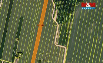 Prodej pole o výměře 1 163 m² v katastrálním území Tísek. Po
