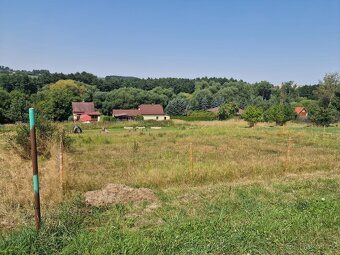 Pronajmu pozemek v obci Libeř, výměra cca 800m2, vhodné pri 